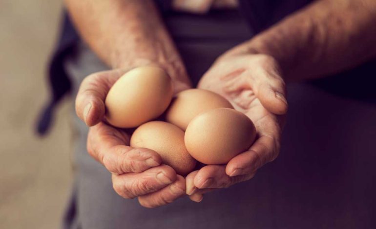 Jak sprawdzić czy jajko jest świeże