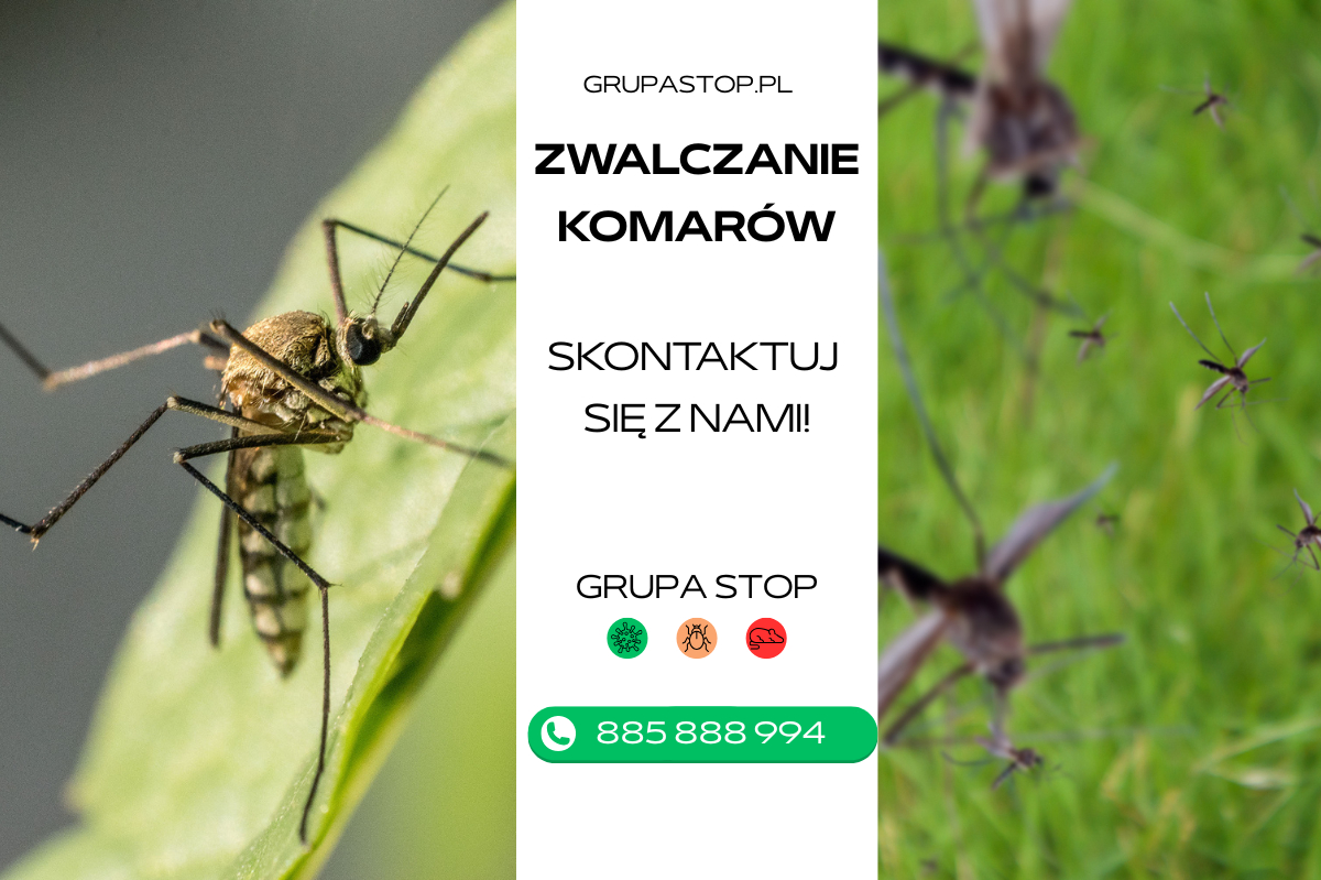 zwalczanie komarów Grupa Stop